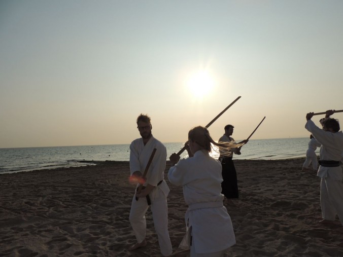 Bokken Training Luc Sur Mer Scott Reed