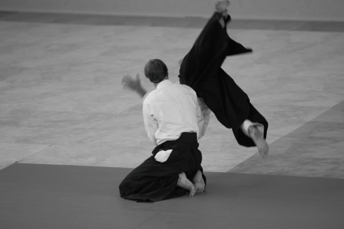 Hanmi Handachi Waza Scott Reed Yondan Aikido
