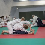 Edinburgh Aikido Toshiro Suga Course Paired Stretching